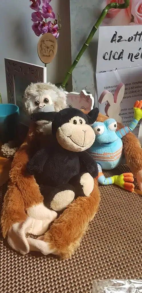 plüssök